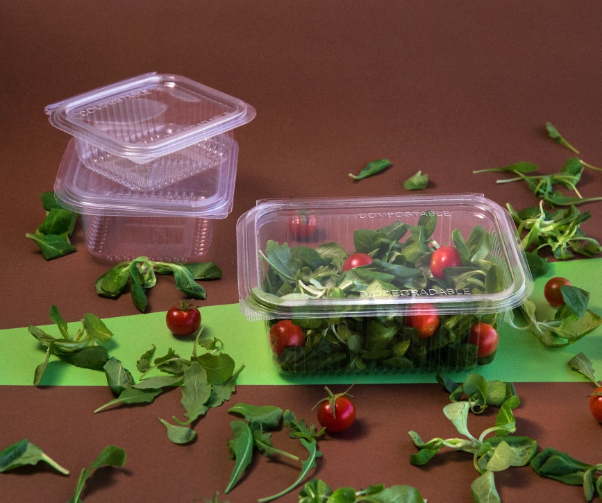 Envases biodegradables desechables para alimentos - Tienda de productos  biodegradables